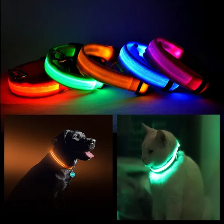 LED PET Safety Halo Style Collar (S-XL)