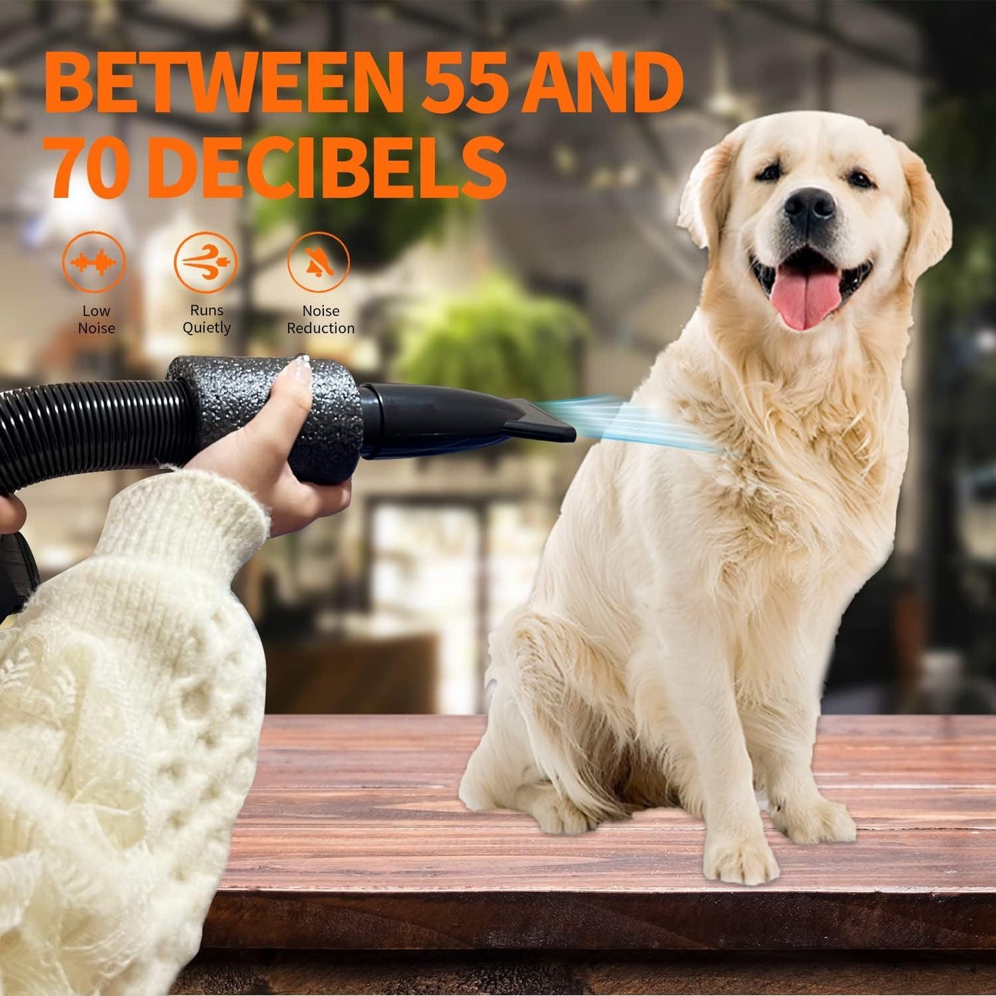 Professional-Grade Pet Grooming Blow Dryer With Adjustable Speed & Temperature, Corded Electric (Pink/Blue)