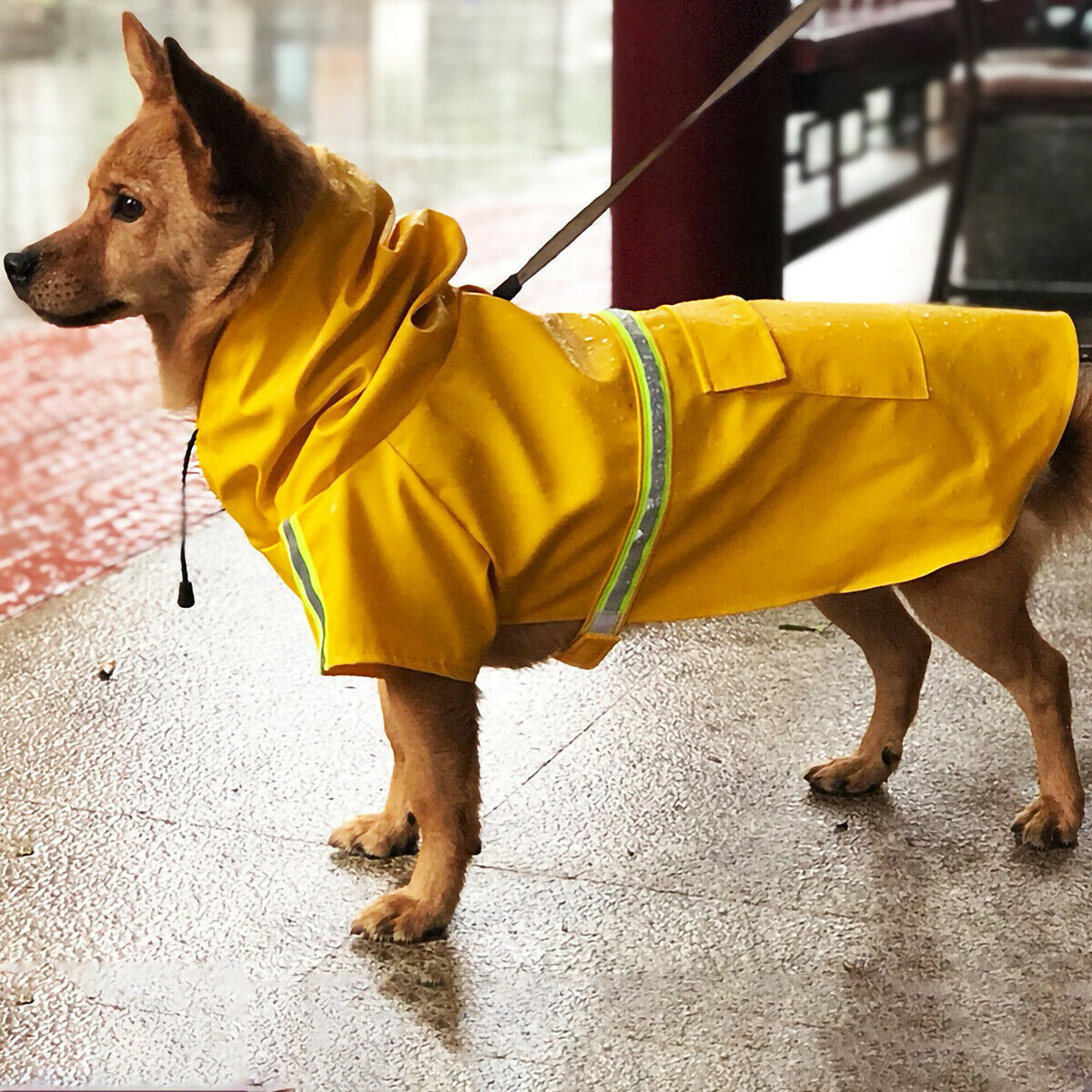 Waterproof Dog Raincoat With Safety Reflective Stripe