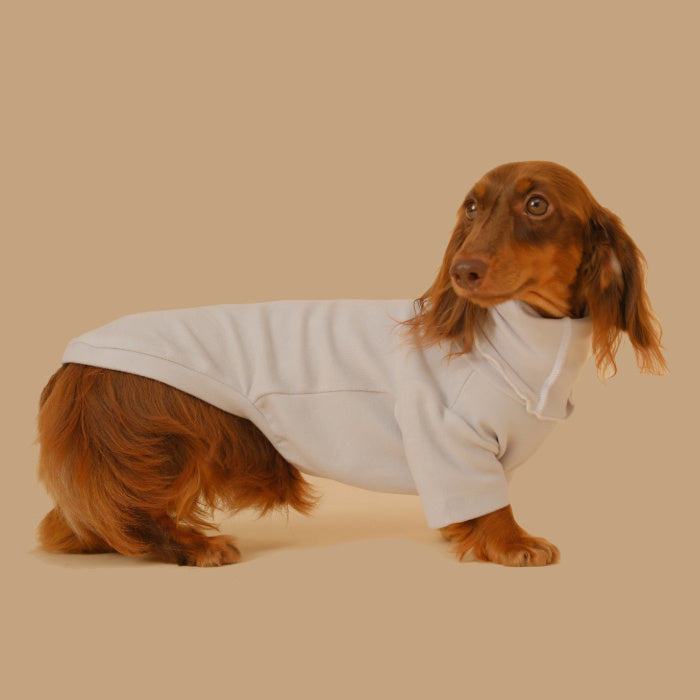 Dachshund Turtleneck Sweater