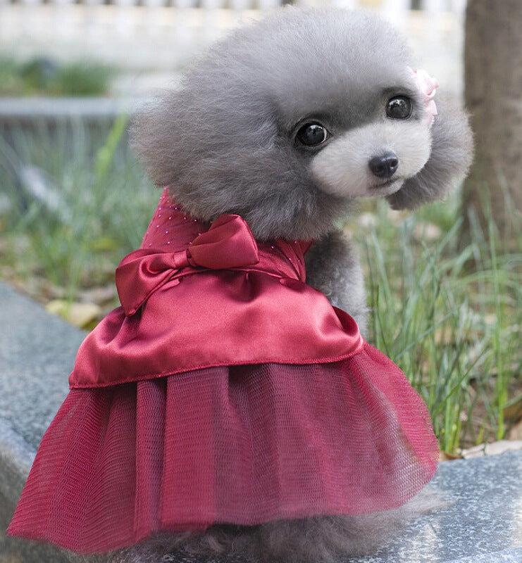 Formal Animal Dress (XS-XXL)