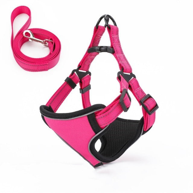 Easy to Put On, Colorful Harness & Leash Set