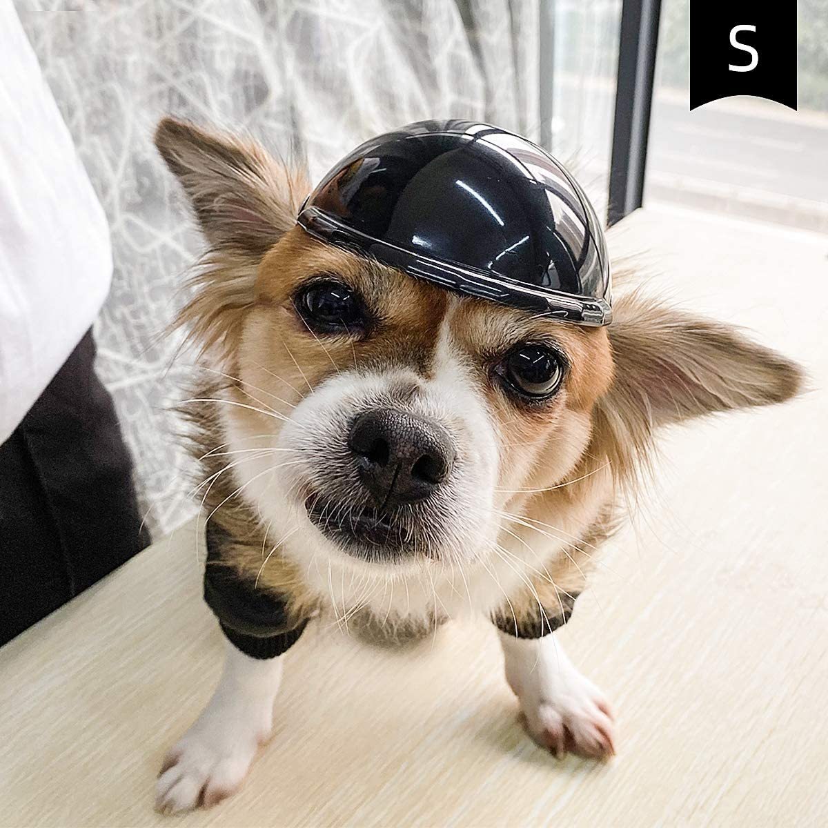 Pet Helmet Headwear and Goggles