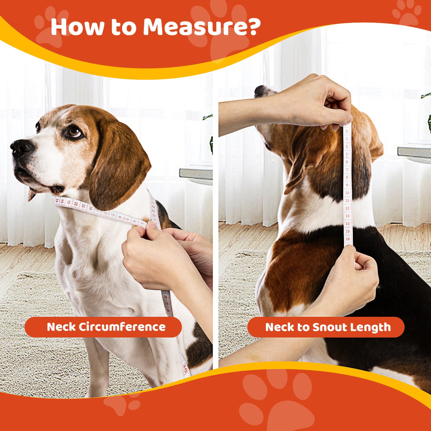Double Layer E-Collar for Dogs