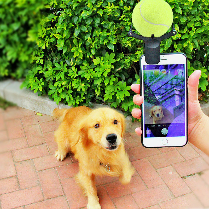 Tennis Ball Phone Clip for Pet Photos