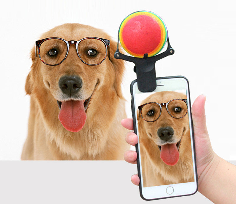 Tennis Ball Phone Clip for Pet Photos