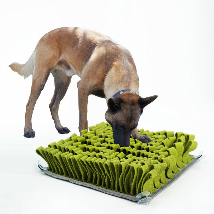 Enrichment Treasure Hunting Blanket, Bite-Resistant Slow Feed Sniff Pad