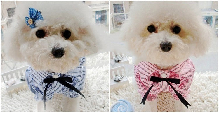 Bubble Sleeve Bow Tie Pet Shirt (S-2XL)
