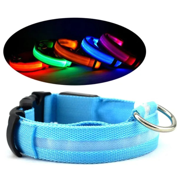 LED PET Safety Halo Style Collar (S-XL)