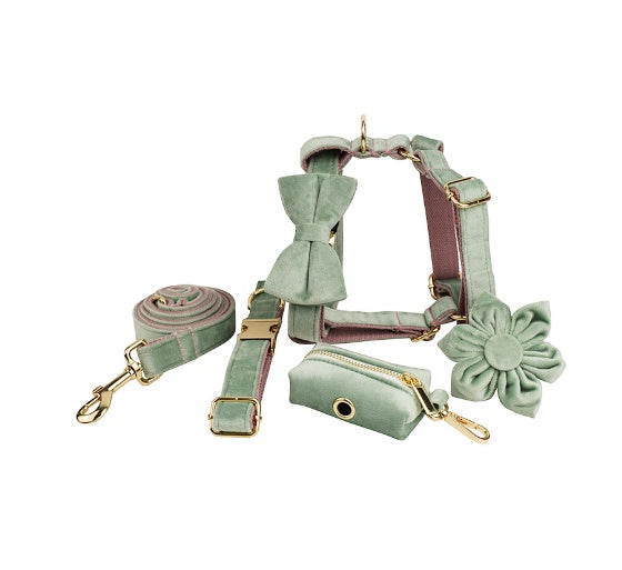 Velvet Collection, Complete Set: Pet Collar, Harness, Leash, Waste Bag Holder, & Removable Bow + Flower
