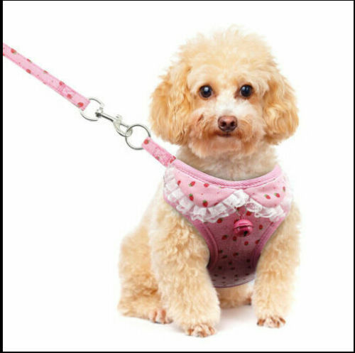 Fancy Harness & Least Set w/ Frills or Bowtie