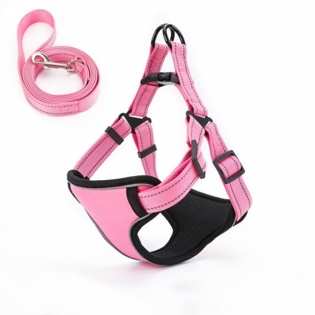 Easy to Put On, Colorful Harness & Leash Set