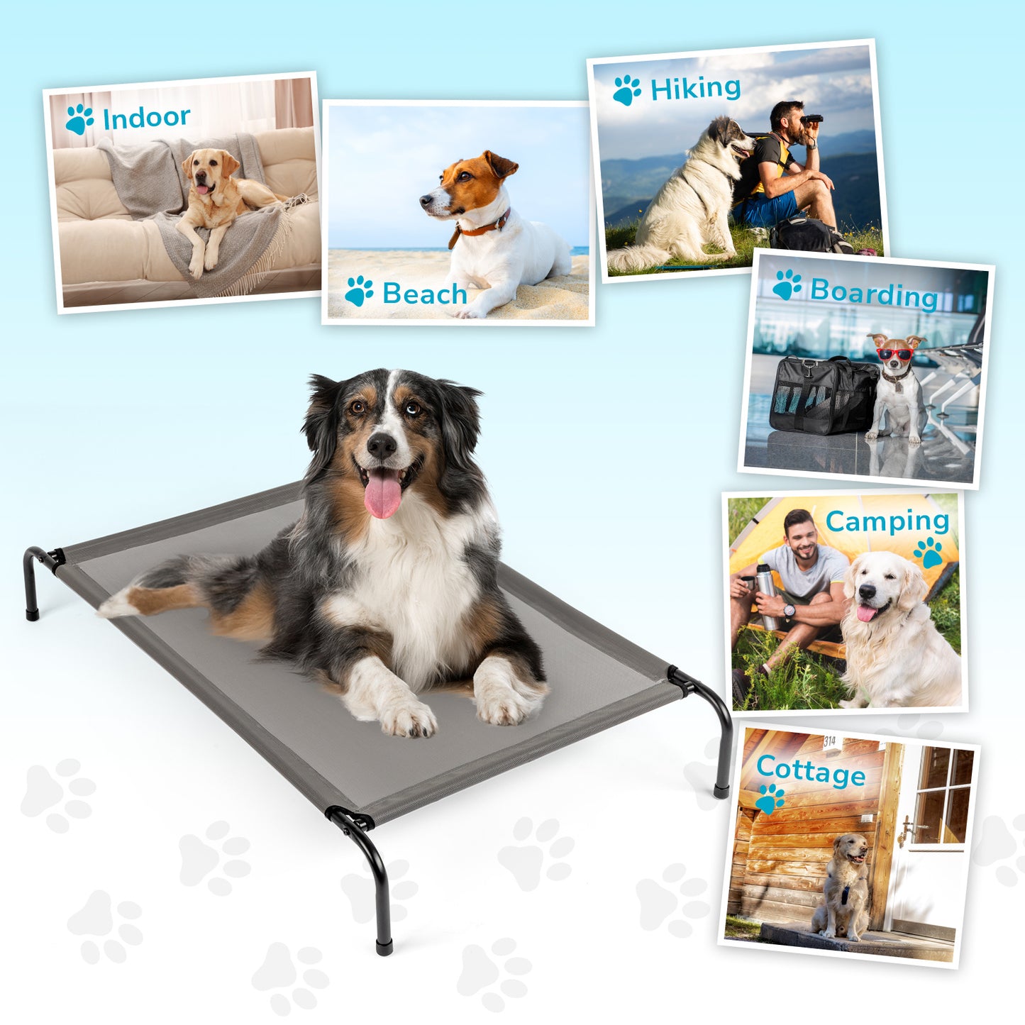 MEDIUM Raised Pet Bed/Cot