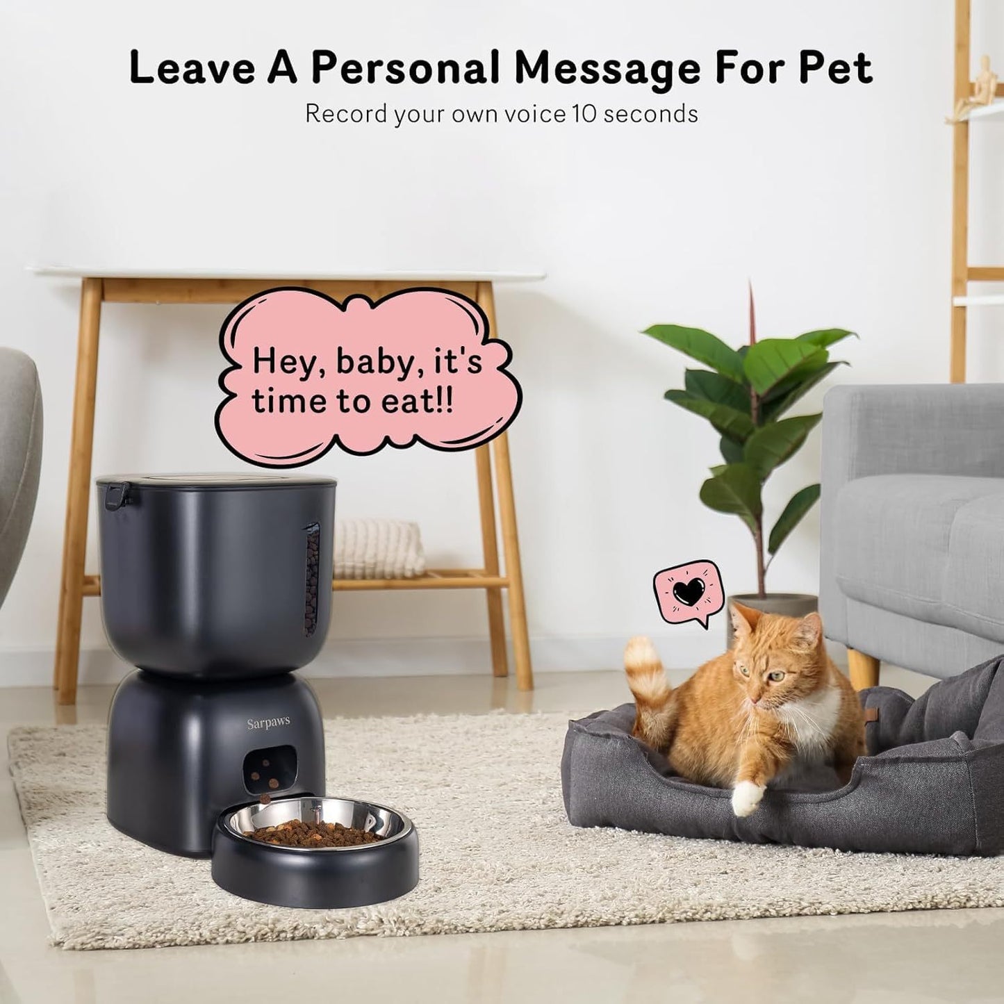 Dual Pet Cat Feeder & Water Dispenser With Locking Lid, Precise Portion Control For 4 Daily Meals, 10s Voice Recording Option