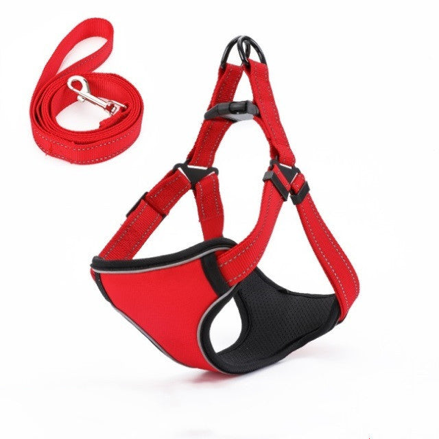 Easy to Put On, Colorful Harness & Leash Set