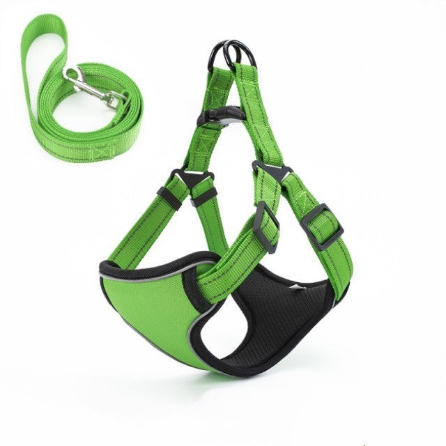 Easy to Put On, Colorful Harness & Leash Set
