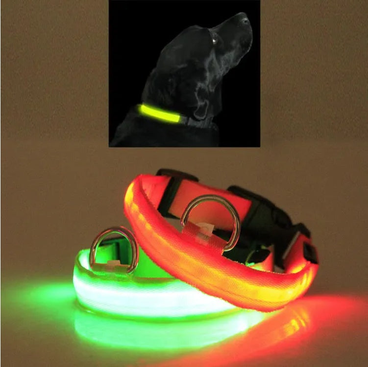 LED PET Safety Halo Style Collar (S-XL)