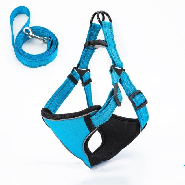 Easy to Put On, Colorful Harness & Leash Set