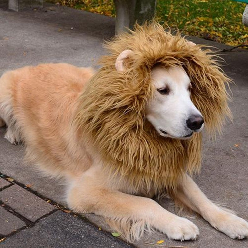 Large Dog Lion Mane Costume