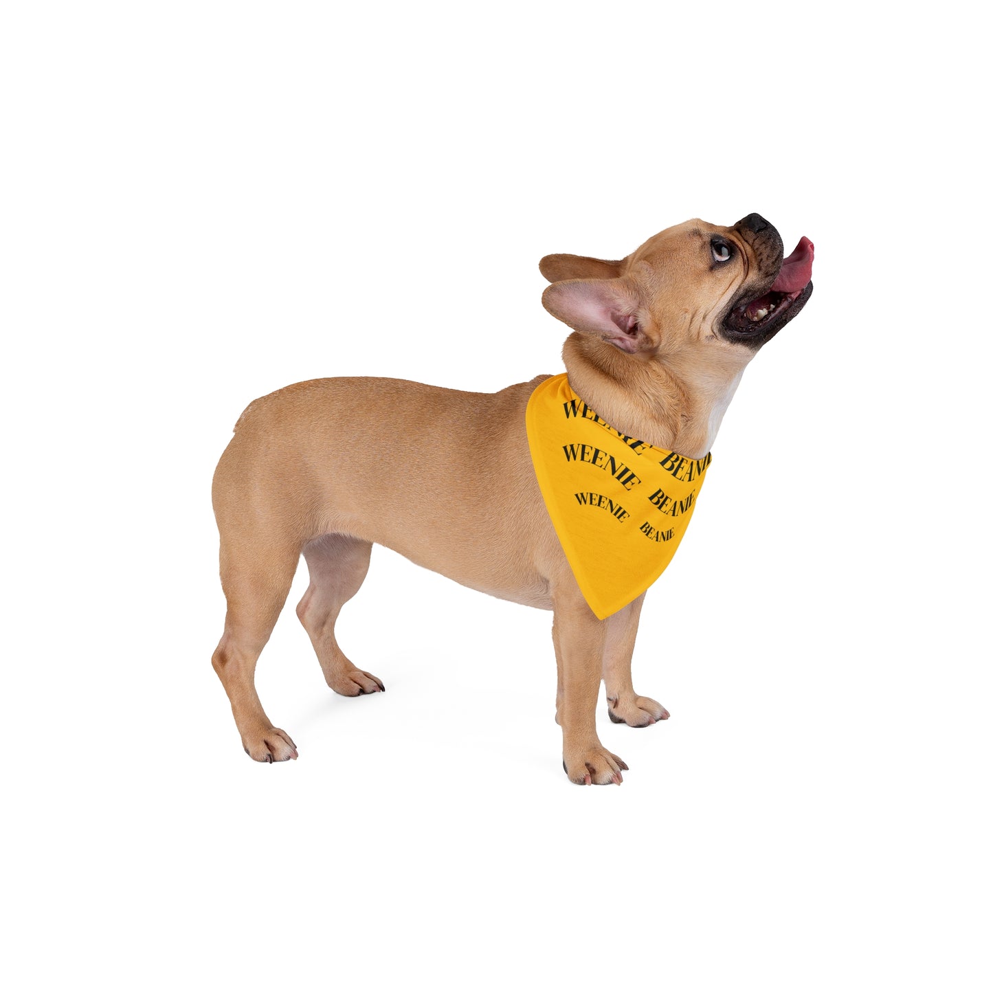 Dog Bandana