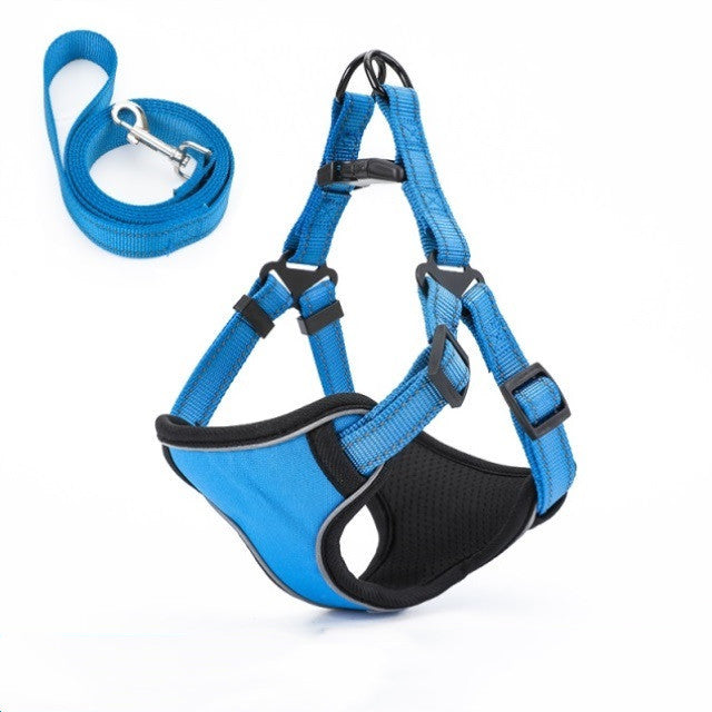 Easy to Put On, Colorful Harness & Leash Set