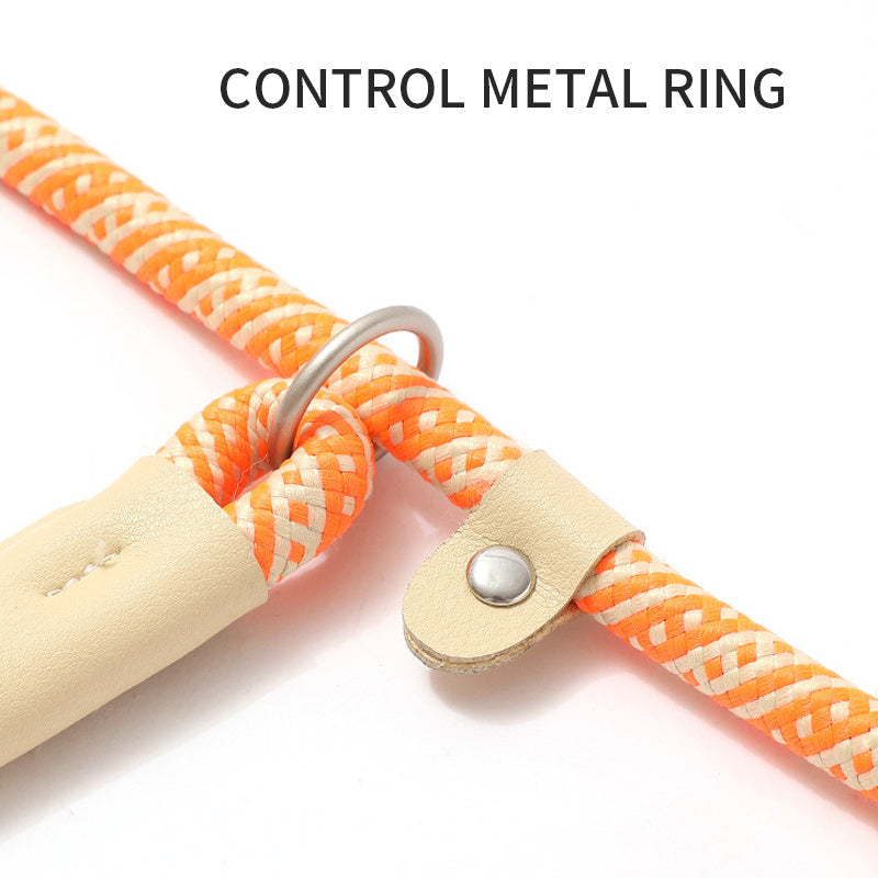 Dog Rope Slip Leash