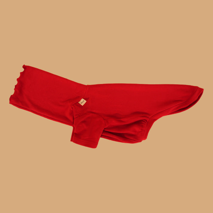 Dachshund Turtleneck Sweater