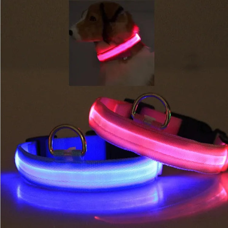 LED PET Safety Halo Style Collar (S-XL)