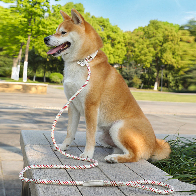Dog Rope Slip Leash