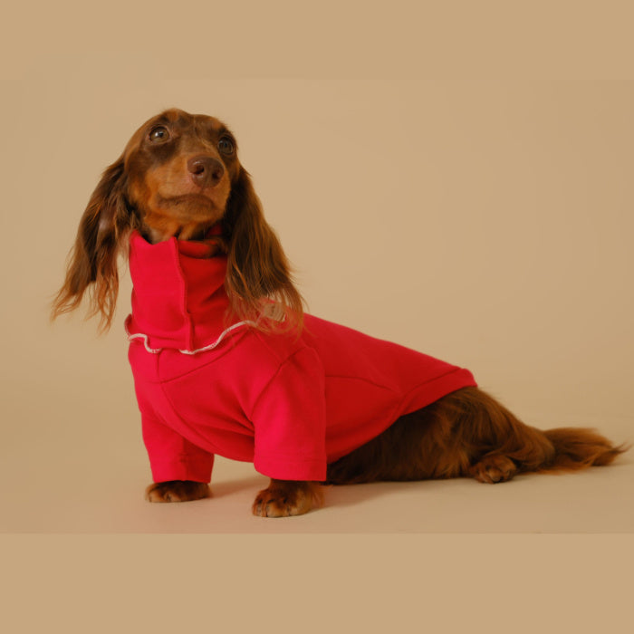 Dachshund Turtleneck Sweater