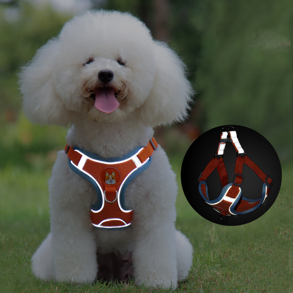Dog Reflective Harness and Leash Set