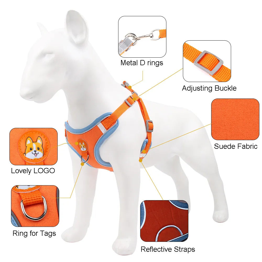 Dog Reflective Harness and Leash Set