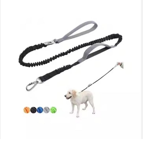 Heavy Duty Bungee Leash, 4-6 Feet Long