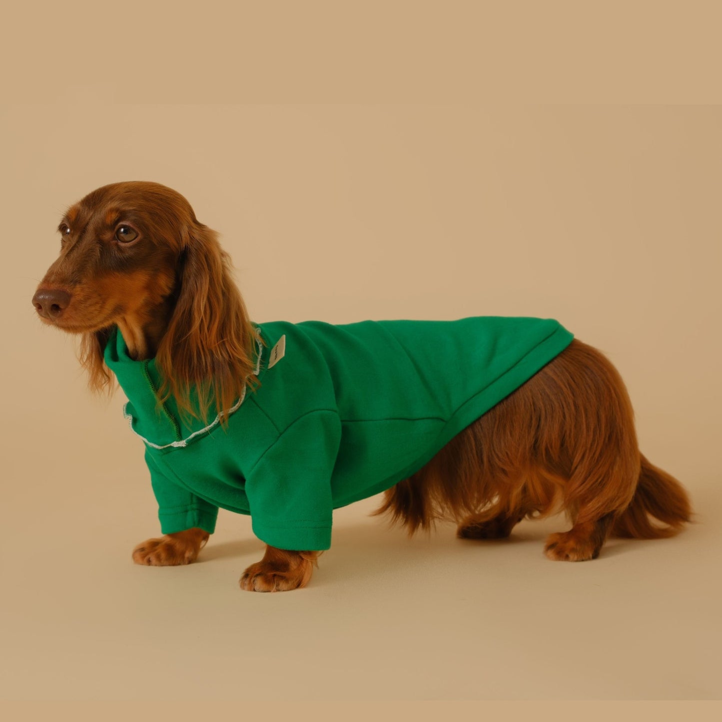 Dachshund Turtleneck Sweater