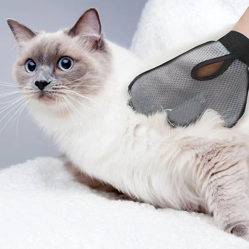 Cat and Dog Grooming Glove