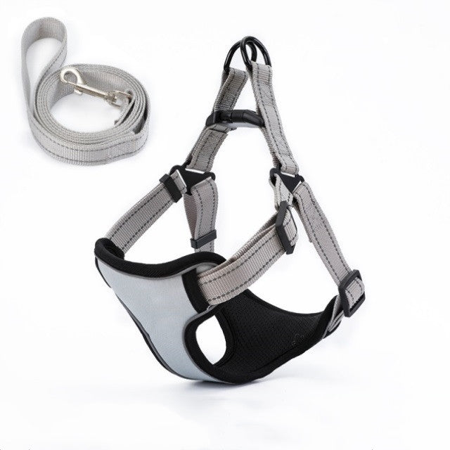 Easy to Put On, Colorful Harness & Leash Set