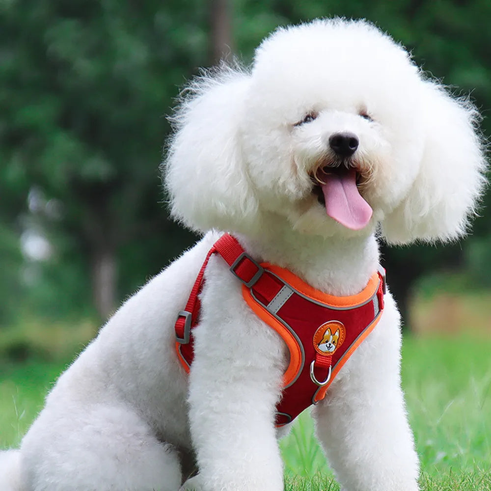 Dog Reflective Harness and Leash Set