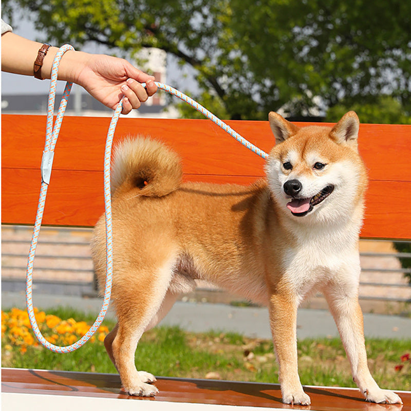 Dog Rope Slip Leash