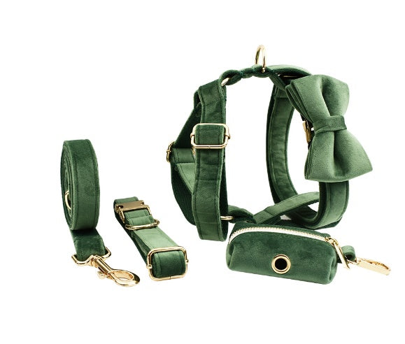Velvet Collection, Complete Set: Pet Collar, Harness, Leash, Waste Bag Holder, & Removable Bow + Flower