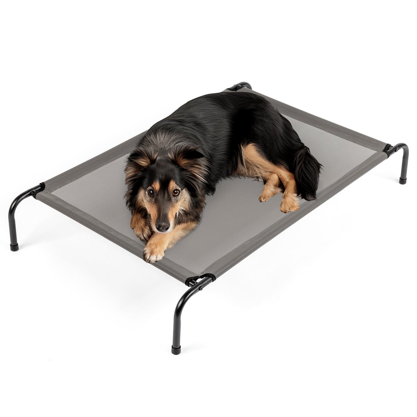 MEDIUM Raised Pet Bed/Cot