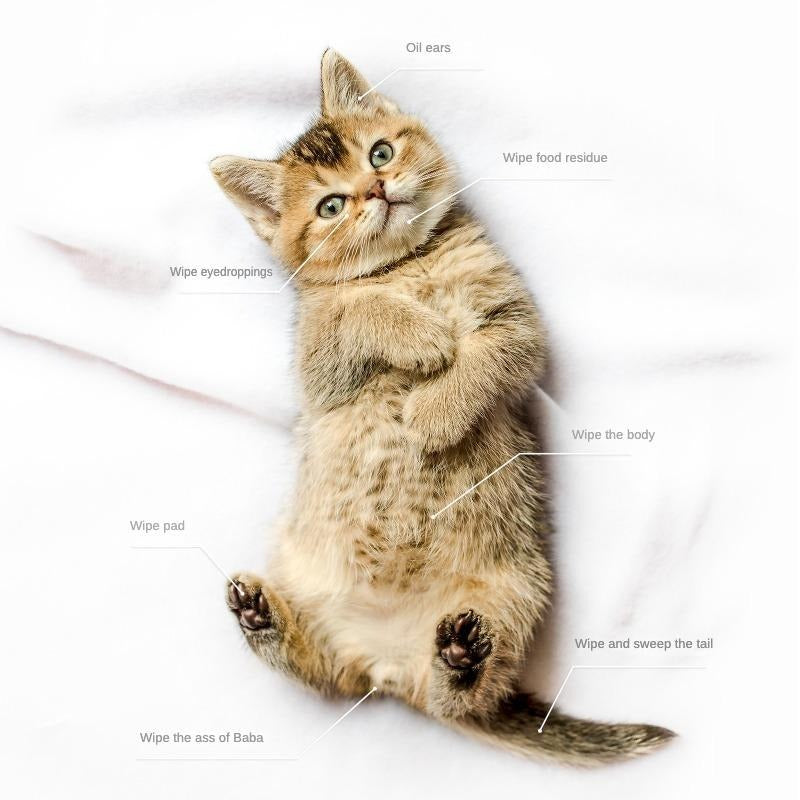 Hypoallergenic Cleaning & Deodorizing Bathing Wipes For Dogs And Cats