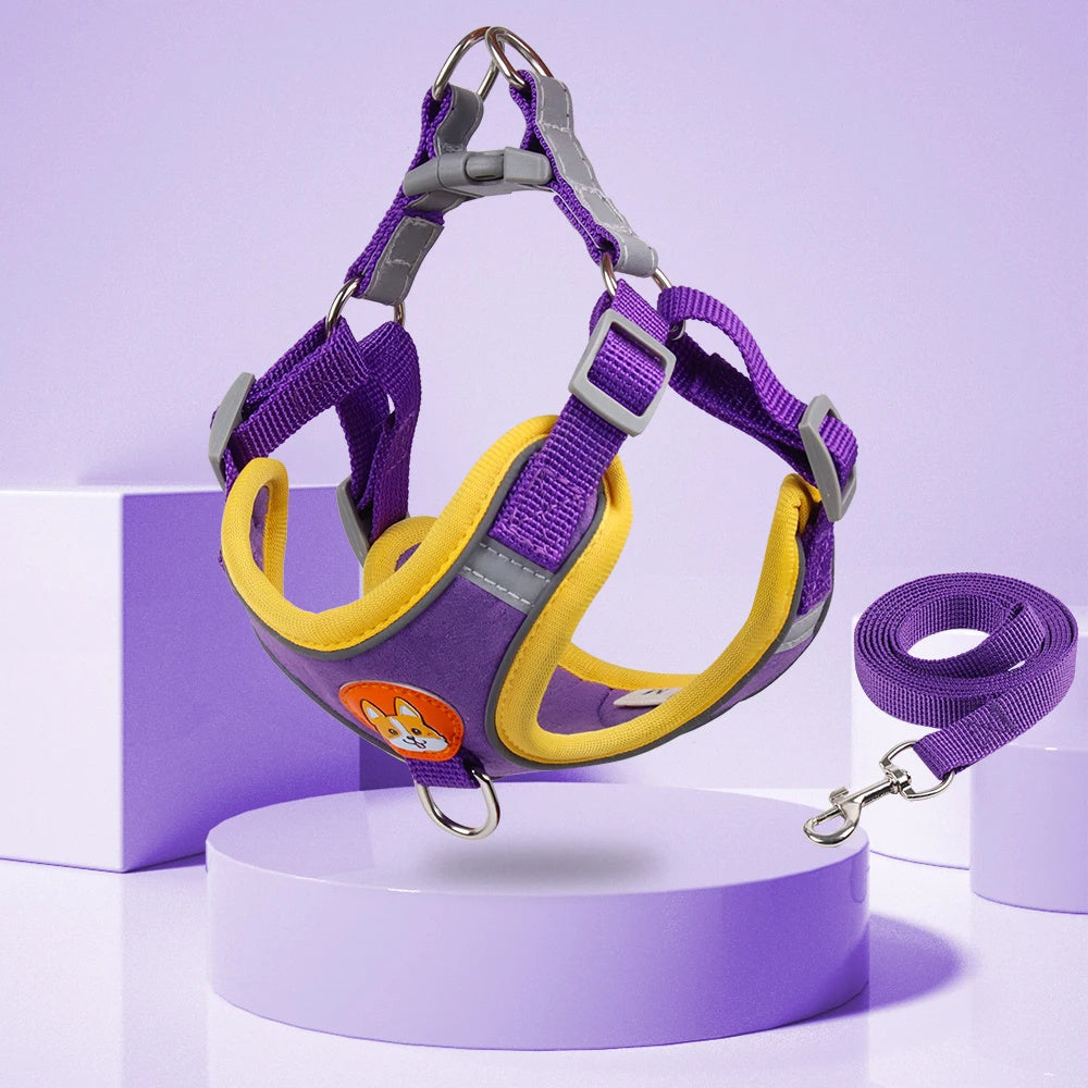 Dog Reflective Harness and Leash Set