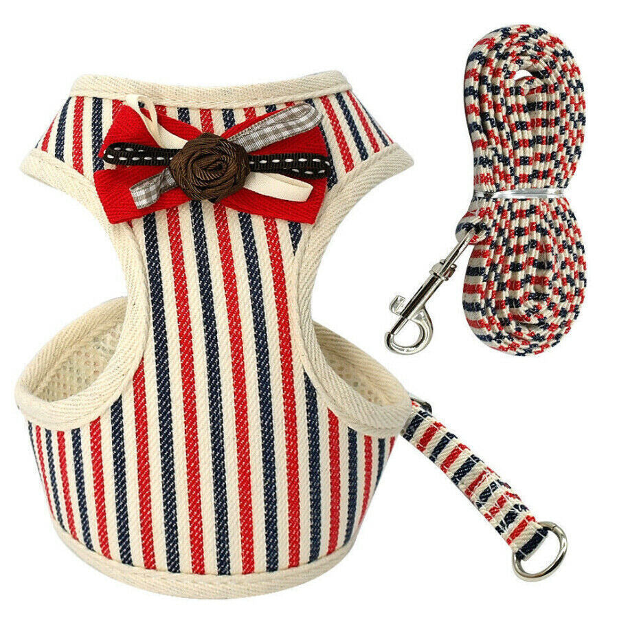 Fancy Harness & Least Set w/ Frills or Bowtie