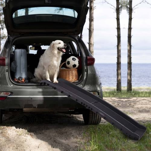 Portable, Foldable Pet Ramp