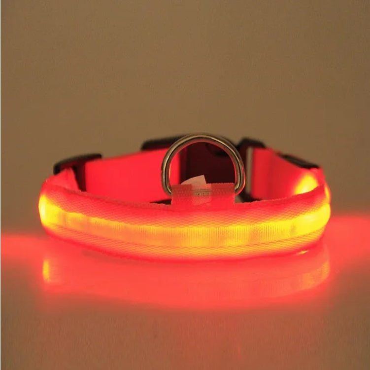 LED PET Safety Halo Style Collar (S-XL)