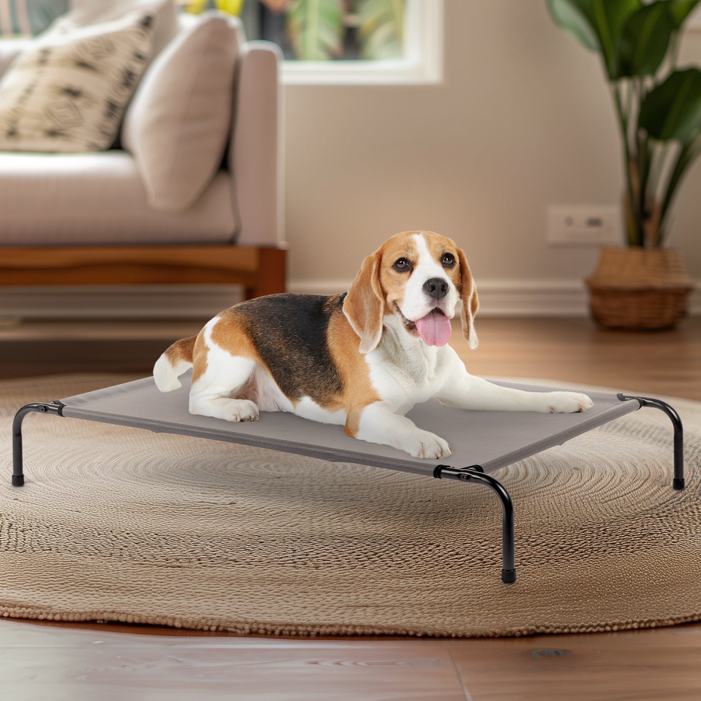 MEDIUM Raised Pet Bed/Cot