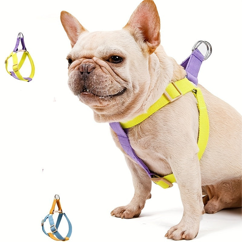 Anti-Escape, Easy to Put On, Color block Harness & Leash Set (S-L)