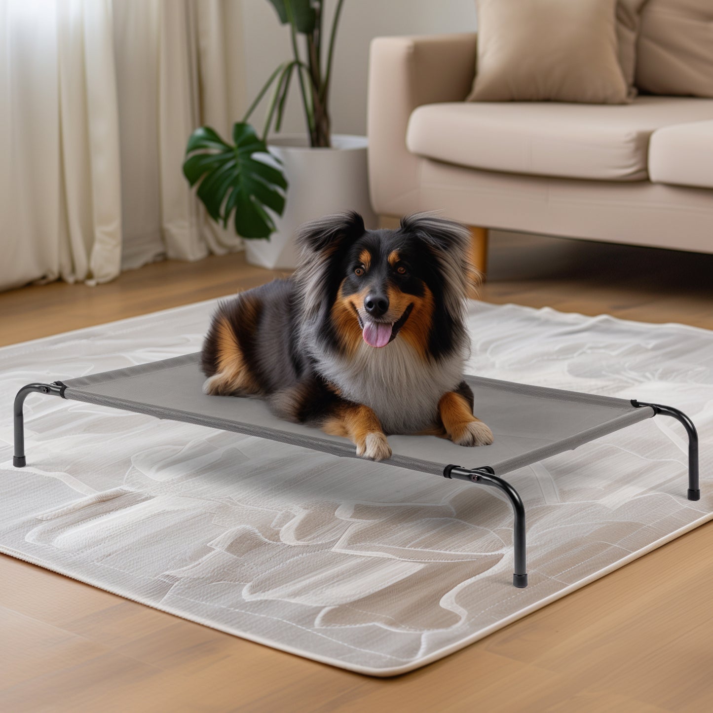 SMALL Raised Pet Bed/Cot