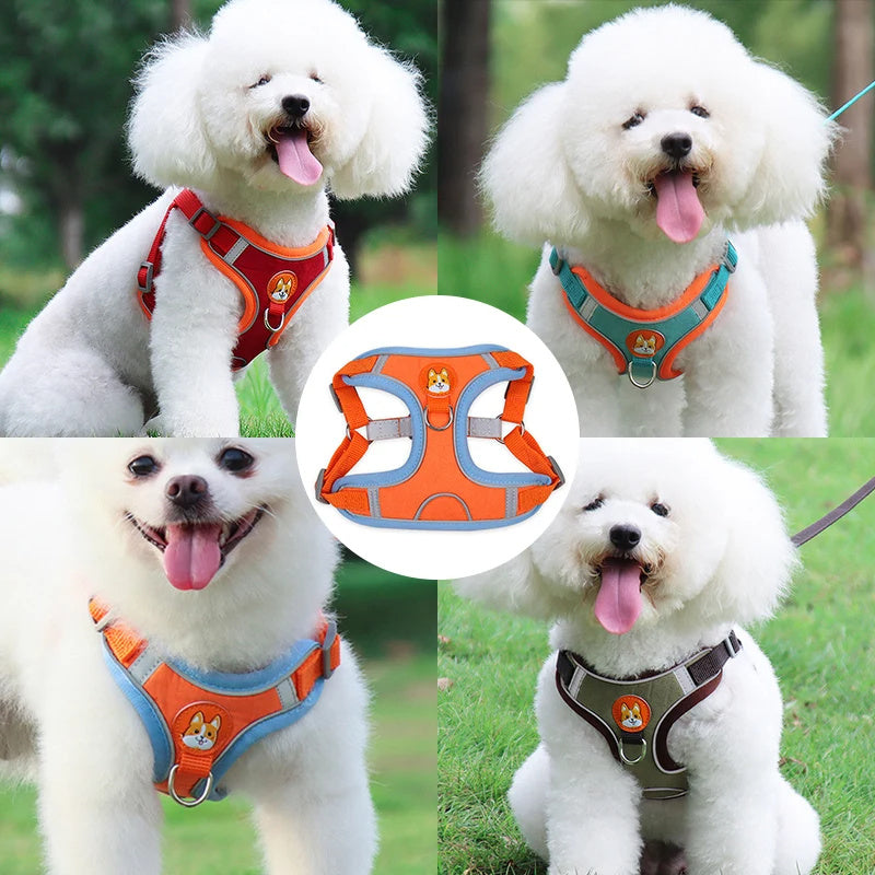 Dog Reflective Harness and Leash Set