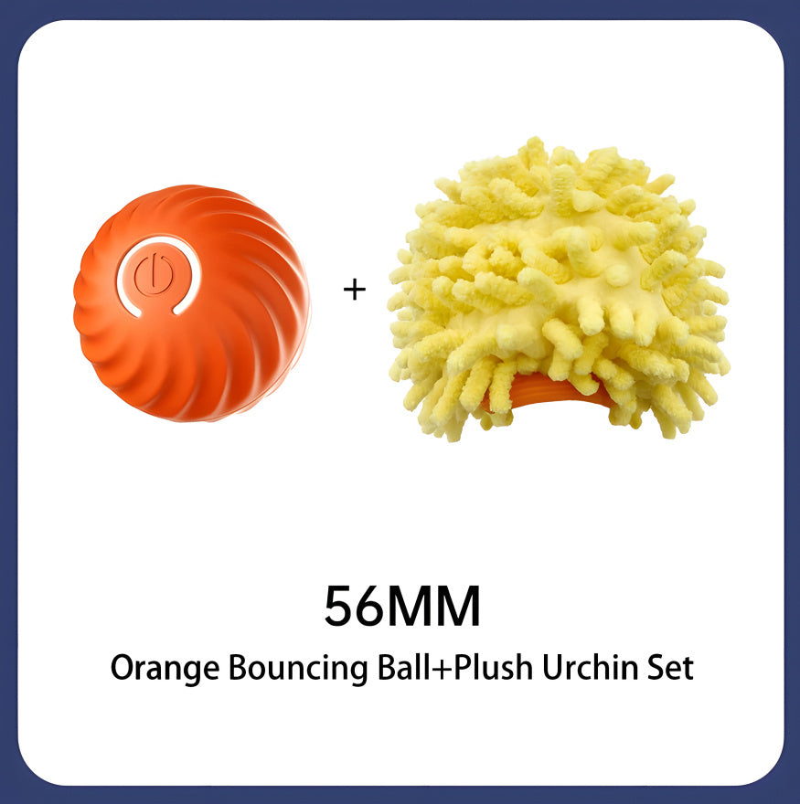 Interactive Bouncing Ball For Dogs